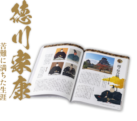 徳川家康本のイメージ画像2