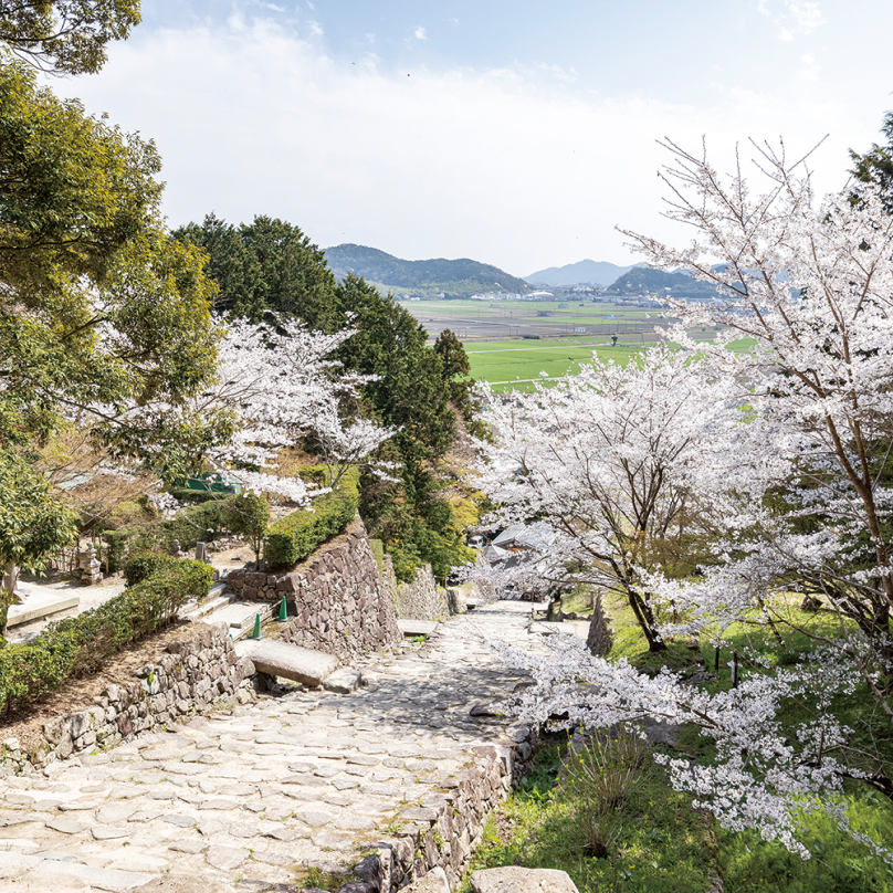 景観のイメージのスライド画像2