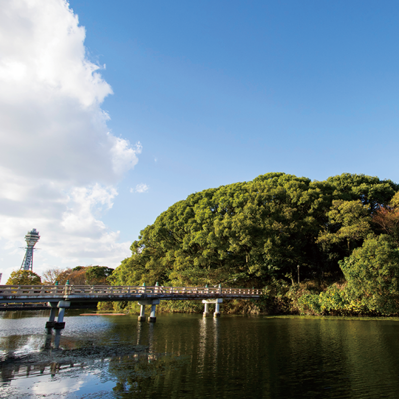 景観のイメージのスライド画像5